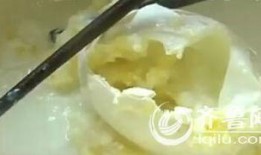 鹅蛋视频大全爆料,揭秘热门视频背后的故事