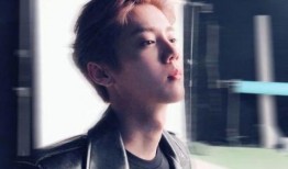 吃瓜娱乐鹿晗完整版,揭秘明星幕后生活